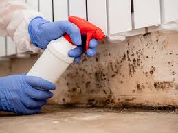 Professional Mold Remediation in Fruitland, NC